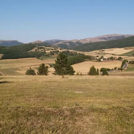 Il Cardo Colfiorito