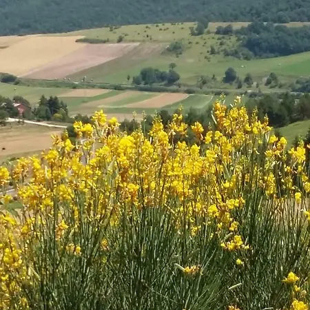 Il Cardo