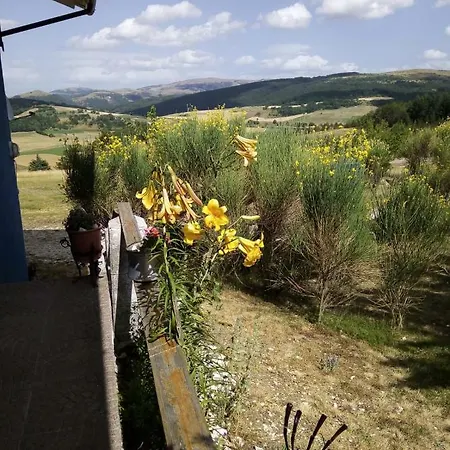 Il Cardo